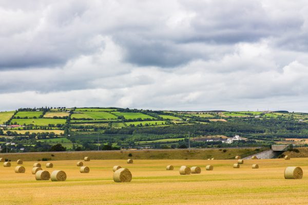 Irish farmers