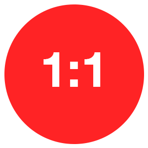 1:1 Icon